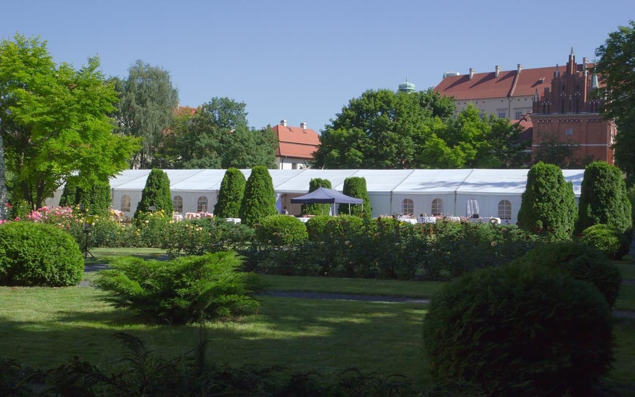 namiot weselny